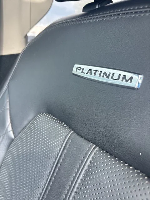 2021 Ford Expedition MAX Platinum - Photo 30