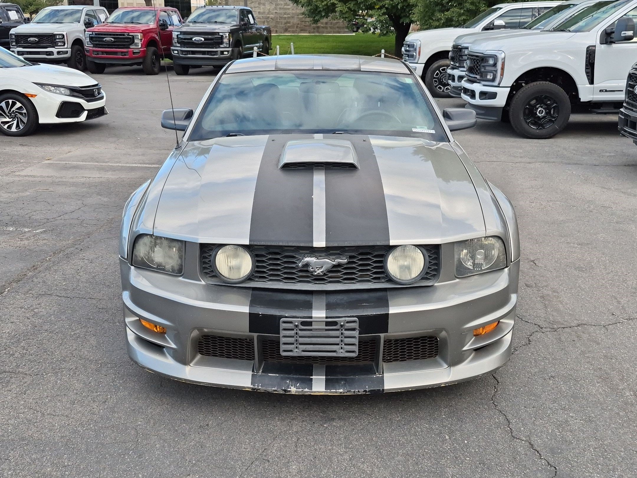 Used 2008 Alloy Clearcoat Metallic Ford GT Deluxe image 9