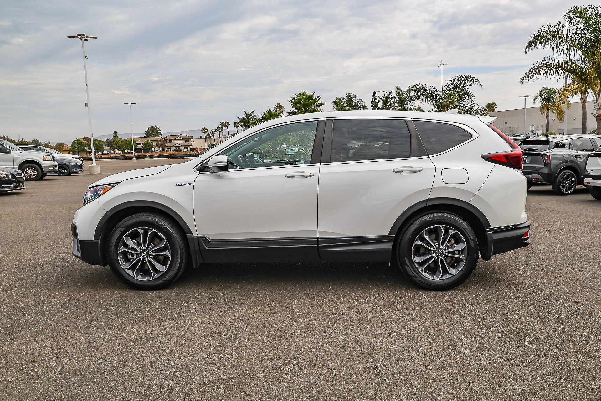 Used 2022 White Honda EX-L image 7