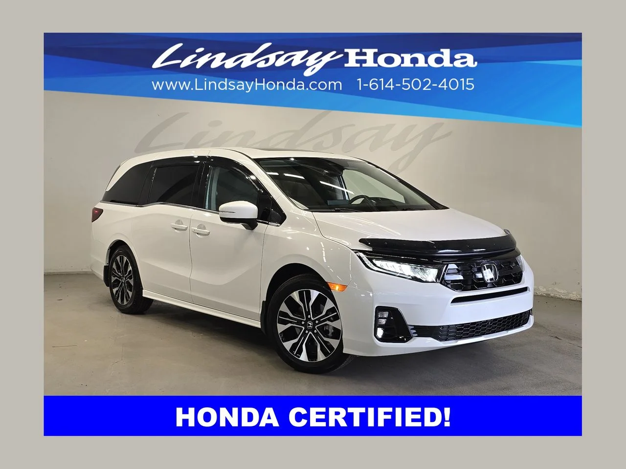 2026 Honda Odyssey Elite's photo