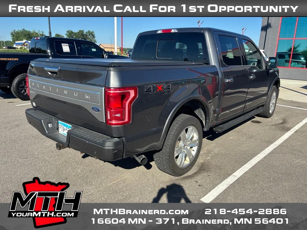 Used 2015 Gray Ford Platinum image 8