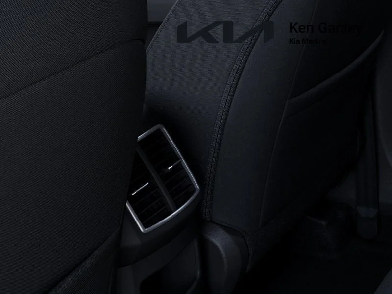 New 2026 Panthera Metal Kia LX image 26