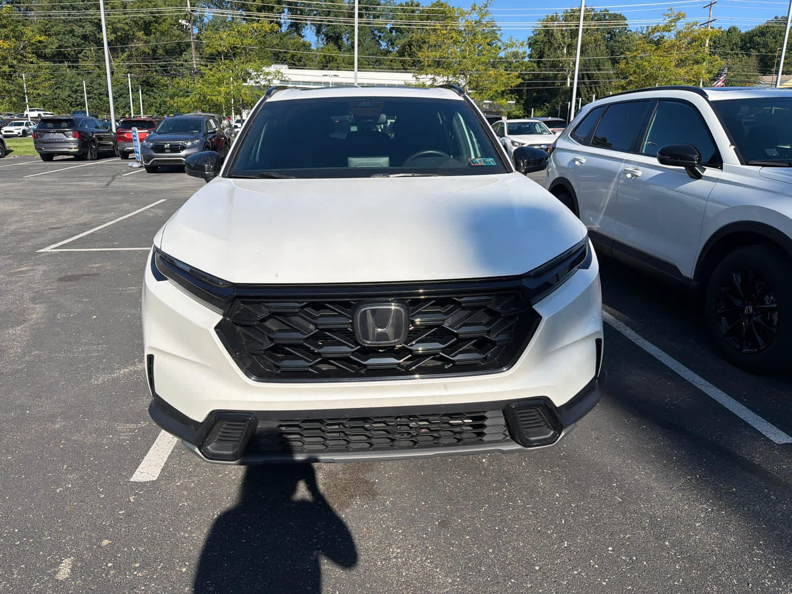 Used 2024 Platinum White Pearl Honda Sport image 2