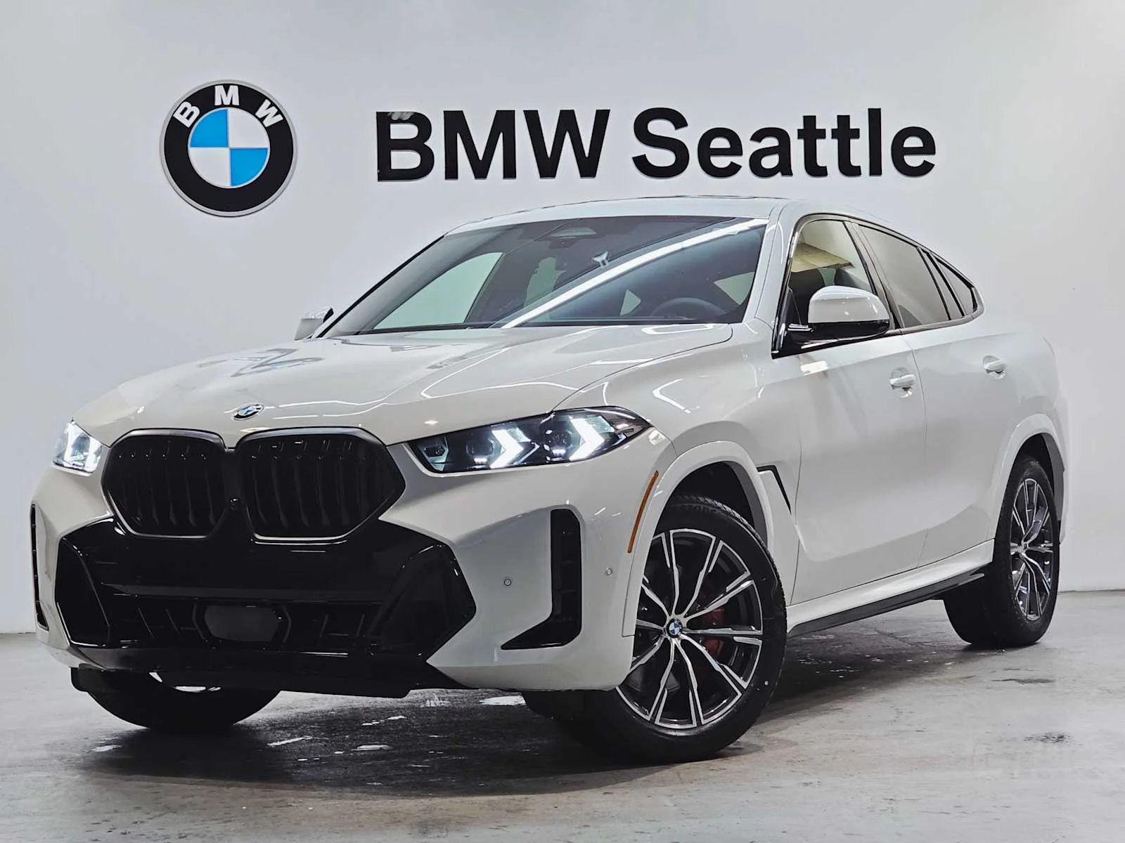 2026 BMW X6