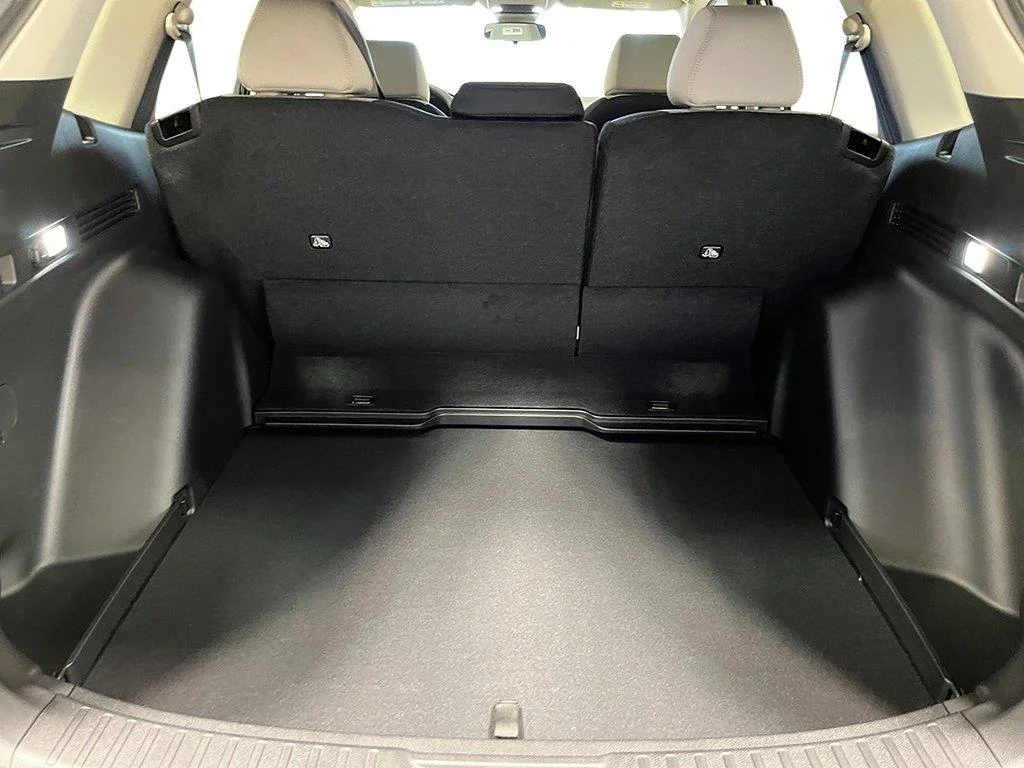 New 2026 Platinum White Pearl Honda LX image 22