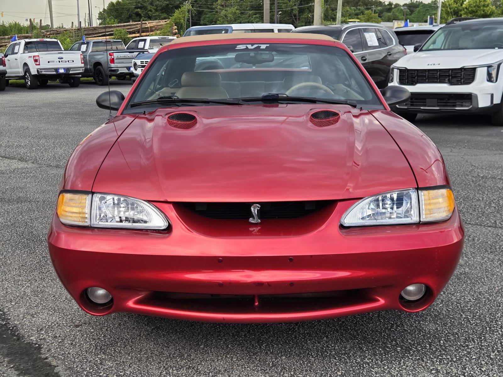 Used 1998 Ford Mustang COBRA with VIN 1FAFP46V8WF145556 for sale in Auburn, AL