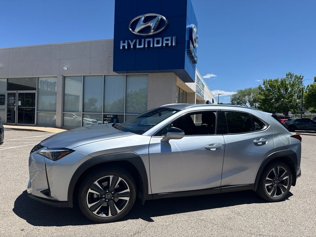 2024 Lexus UX 300h 250h AWD's photo