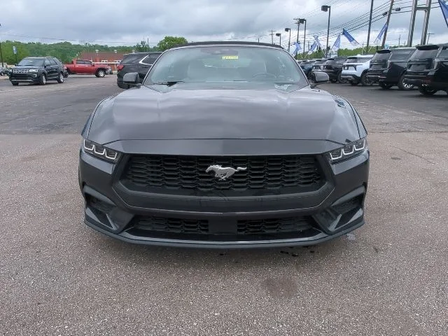 Used 2024 Gray Ford EcoBoost Premium image 5