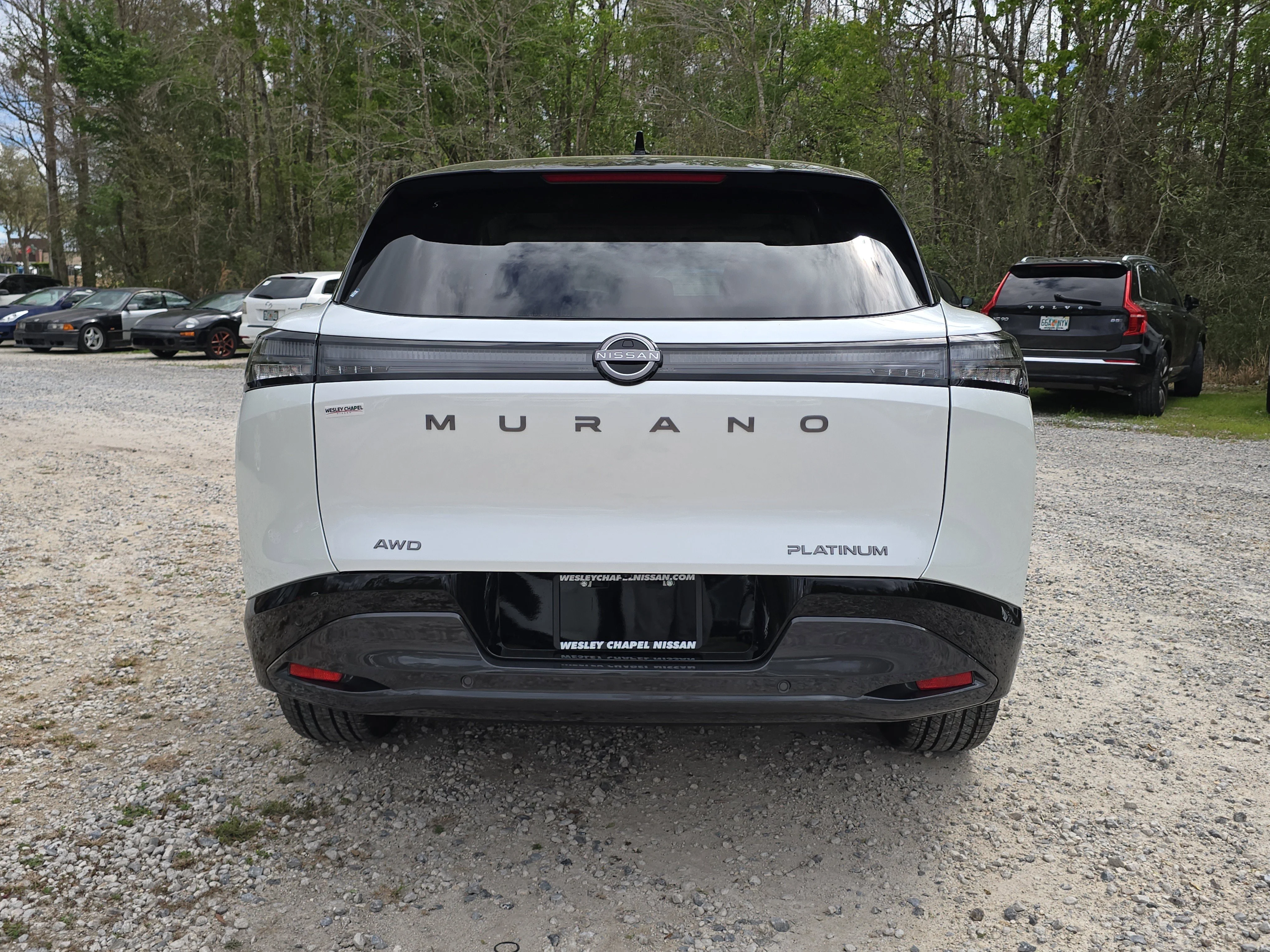 New 2026 Everest White Pearl TriCoat / Super Black Two-tone Nissan Platinum image 7