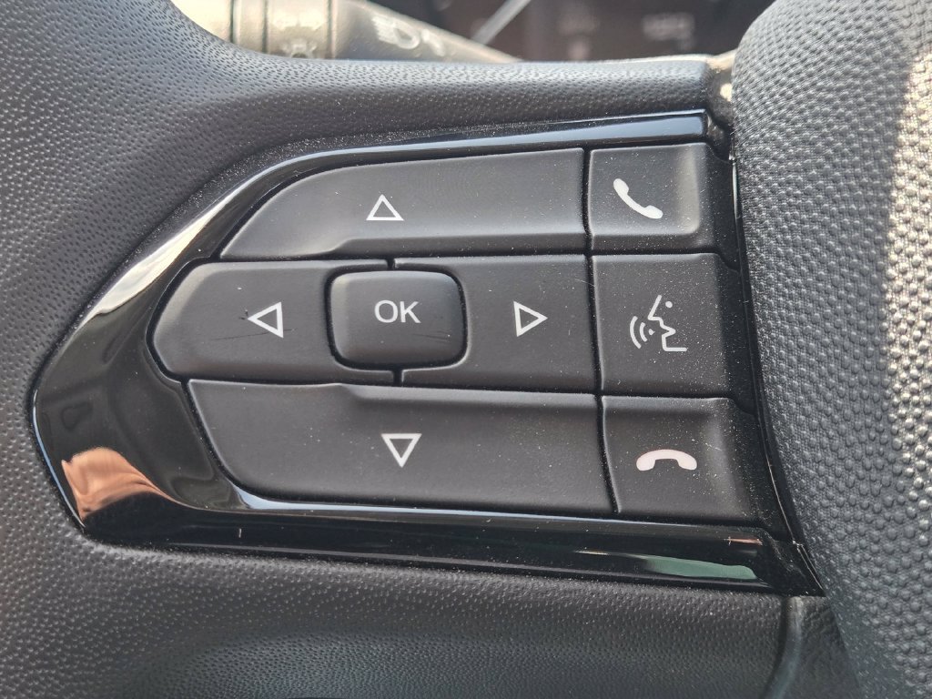 Used 2025 White Ram Low Roof image 18