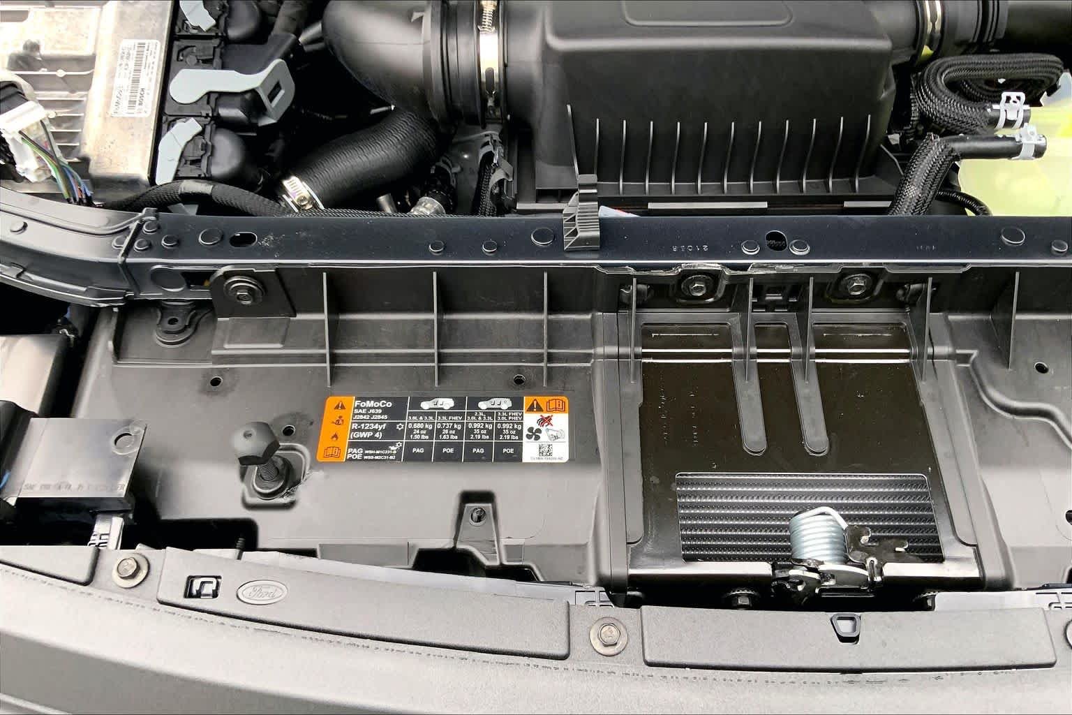 New 2027 Marsh Gray Ford Tremor image 15
