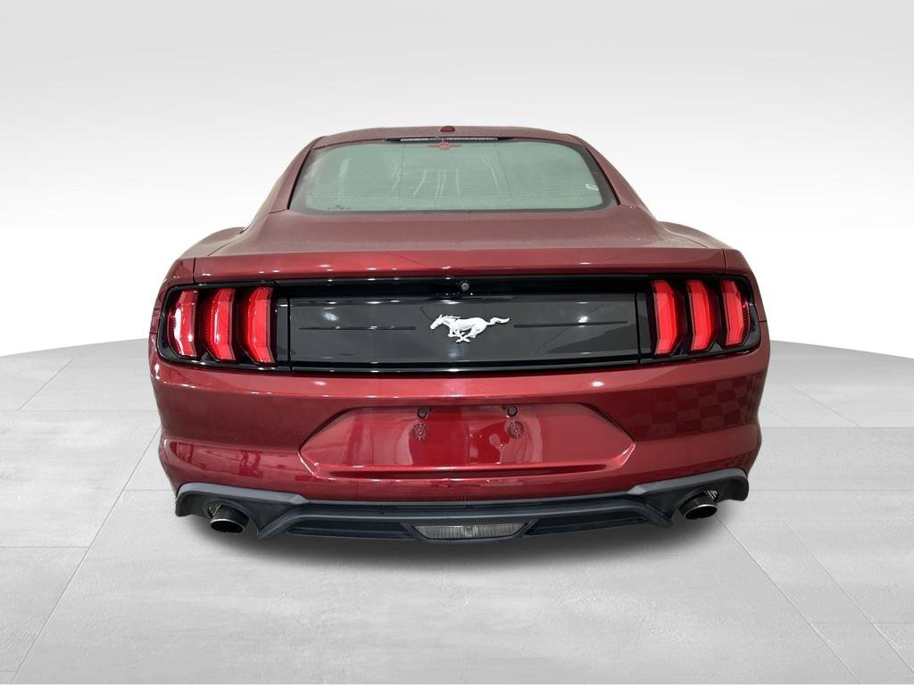 Used 2019 Red Ford EcoBoost image 4