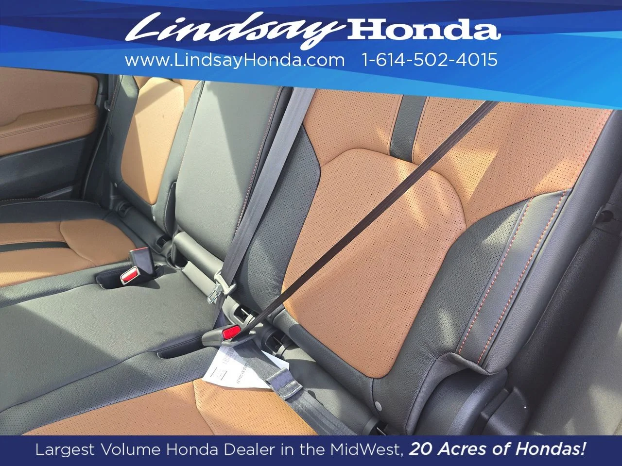 New 2026 Sunset Orange Honda TrailSport Elite image 4