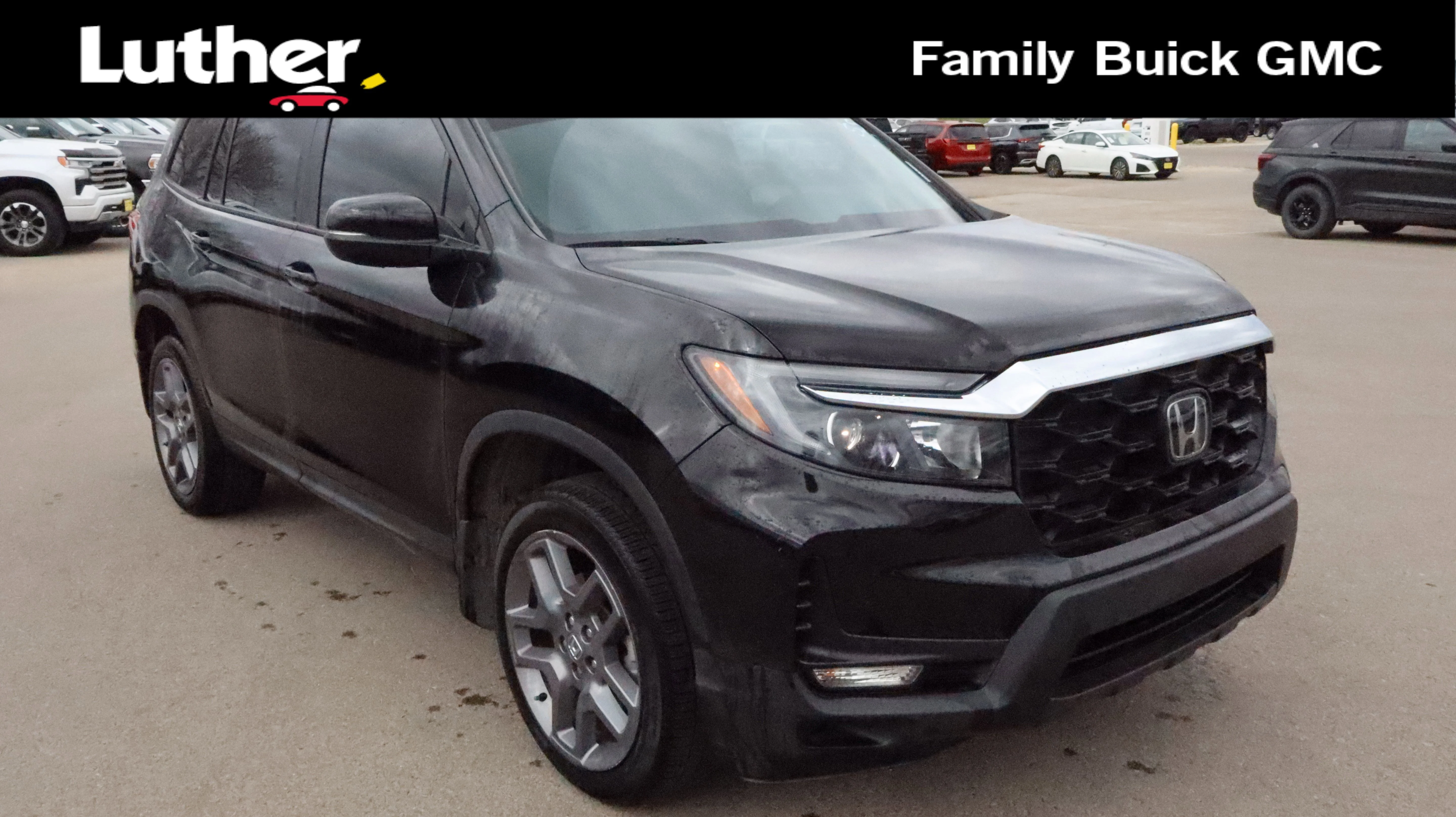 2023 Honda Passport 3.5 EX-L 4WD Auto's photo