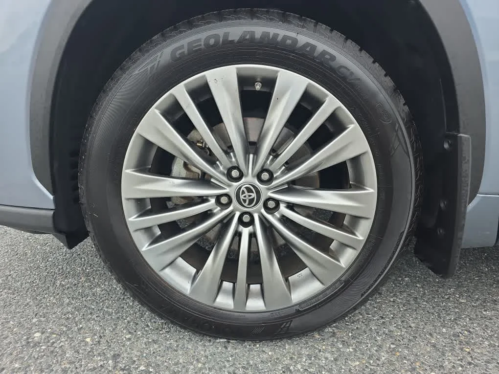 Used 2021 Moon Dust Toyota Platinum image 11