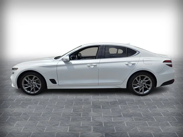 Used 2022 White Genesis 2.0T image 4