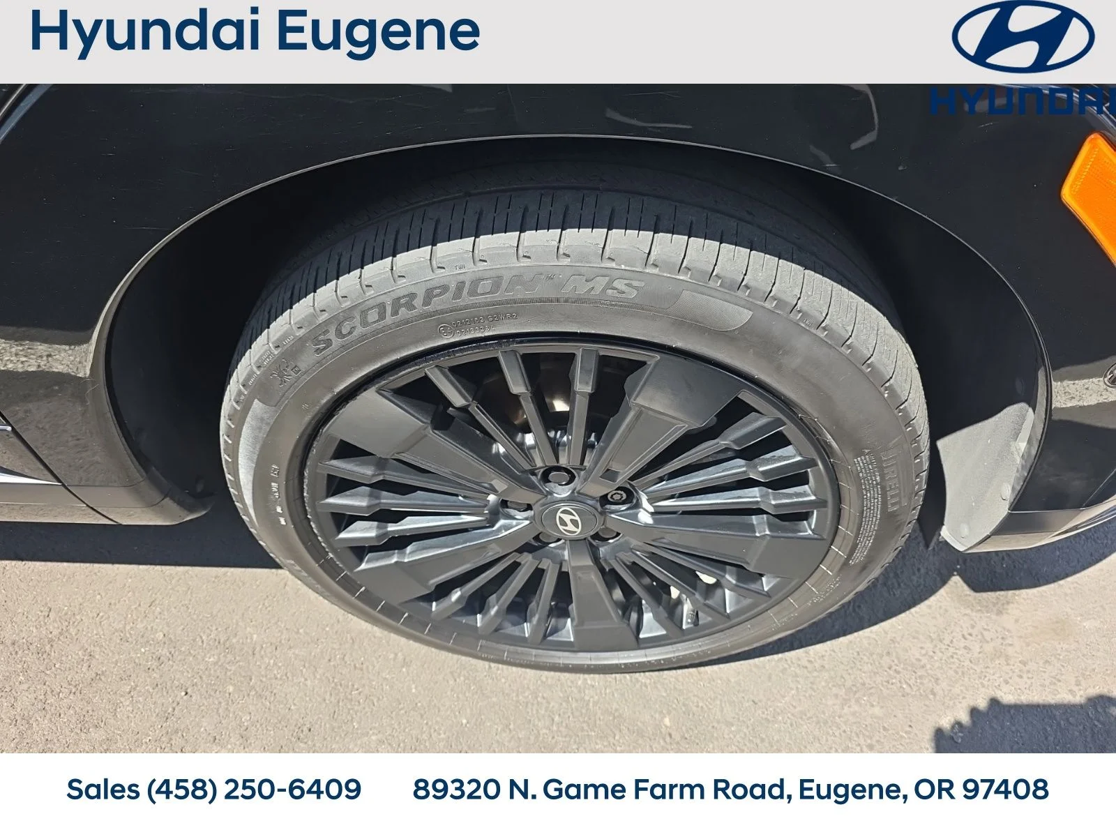 Used 2024 Black Hyundai Calligraphy image 10