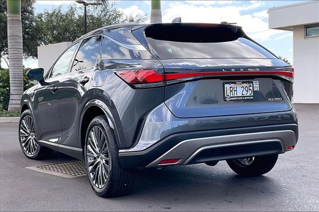 2025 Lexus RX 350 - Photo 10