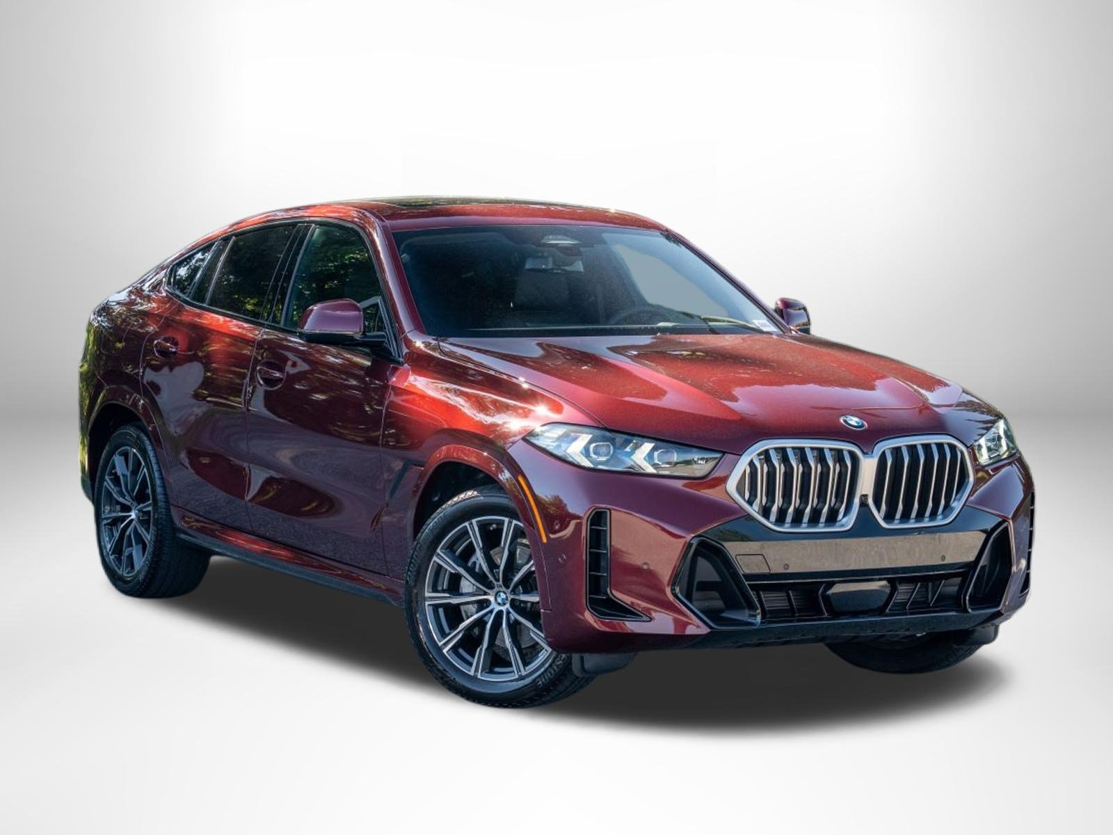 2026 BMW X6