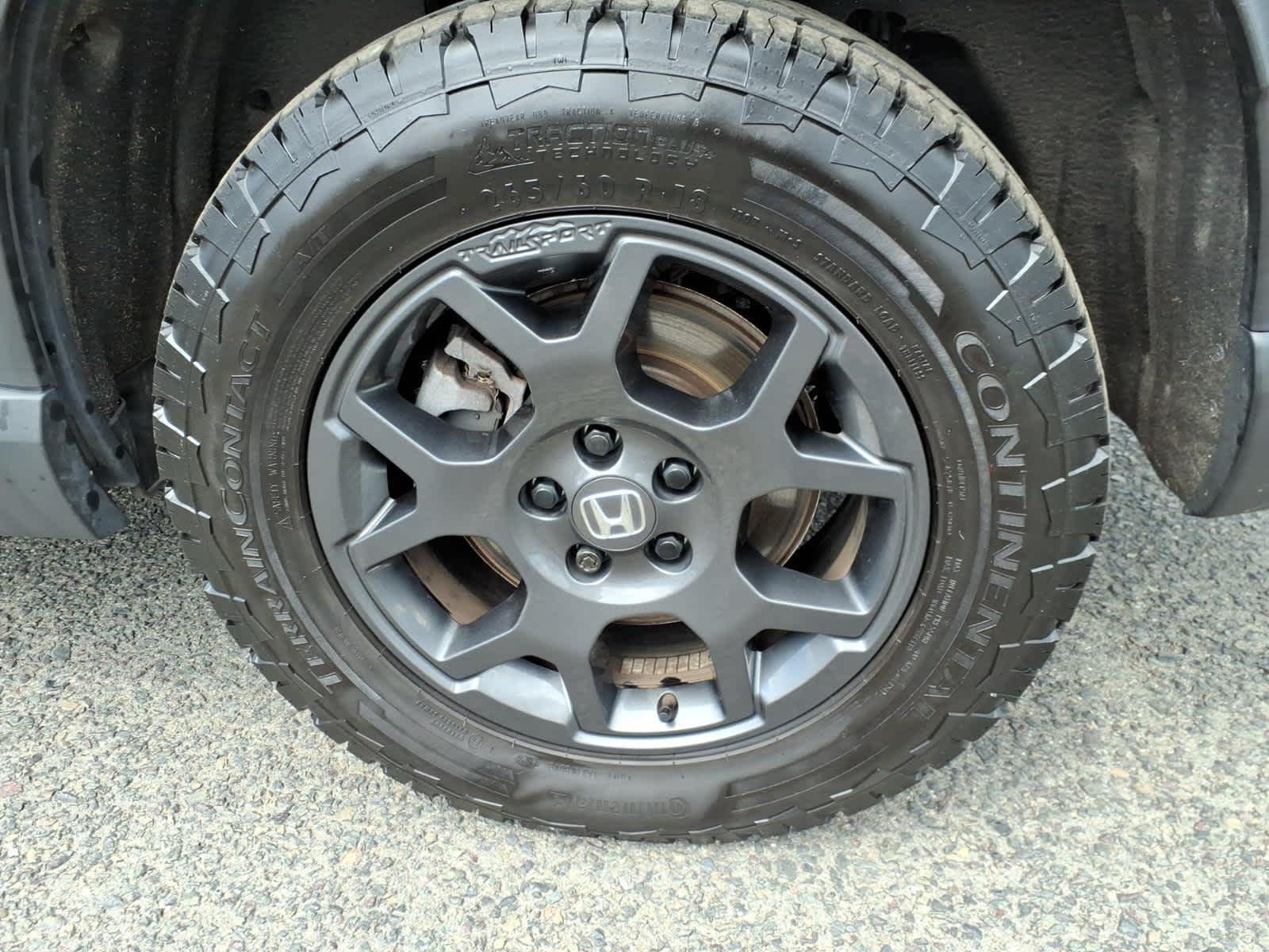 2025 Honda Pilot TrailSport - Photo 9