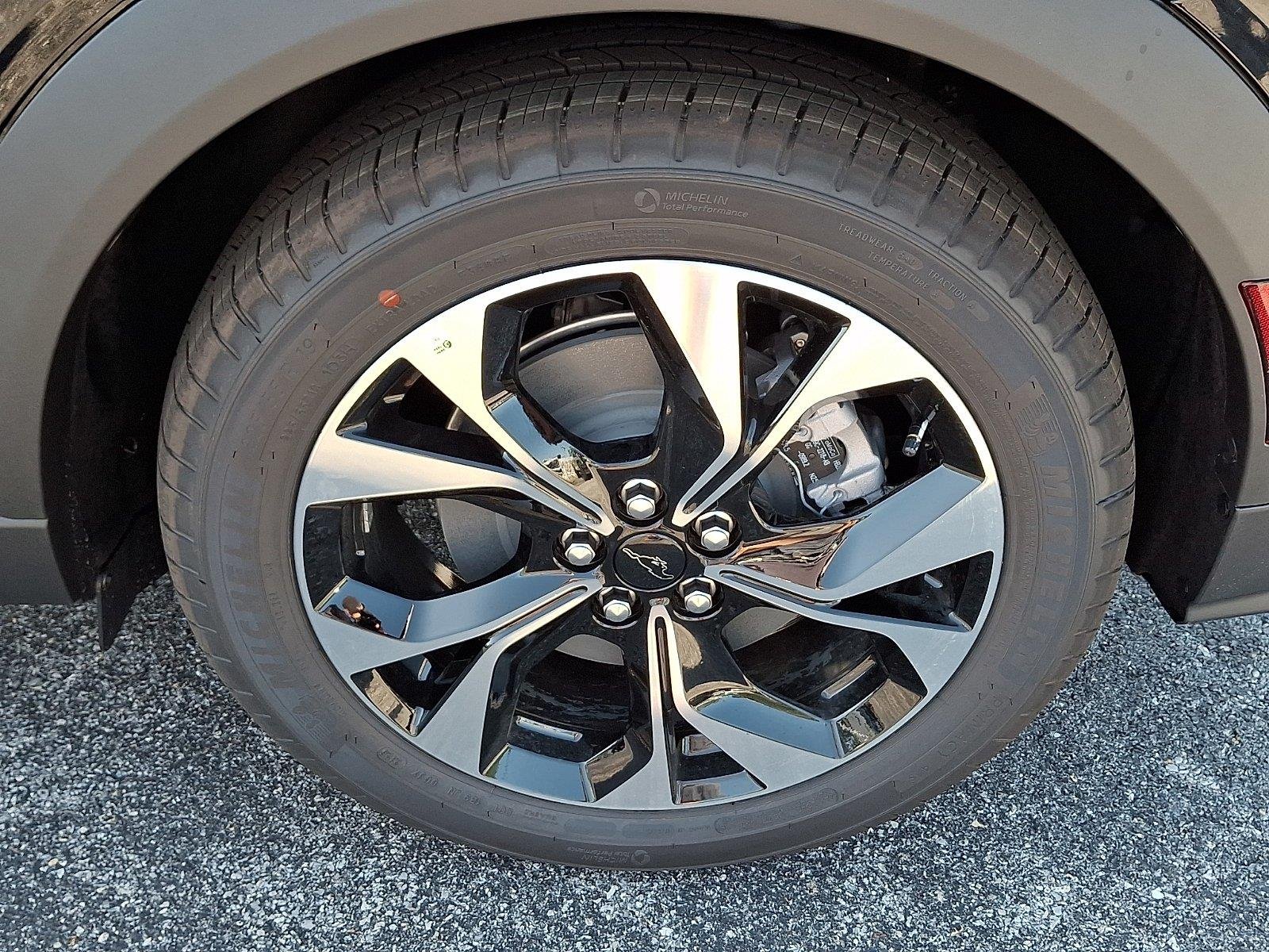 New 2026 Shadow Black Ford Select image 5