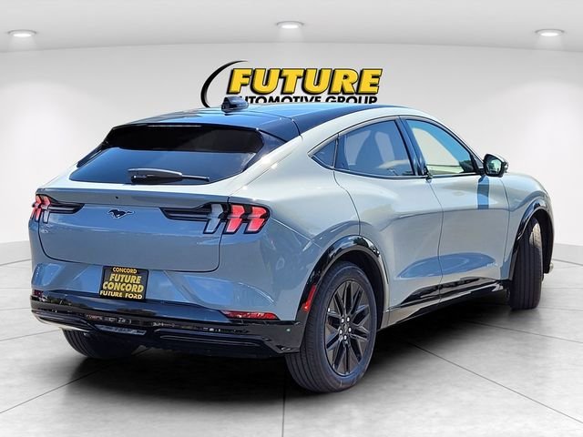 New 2025 Glacier Gray Metallic Tri-coat Ford Premium image 20