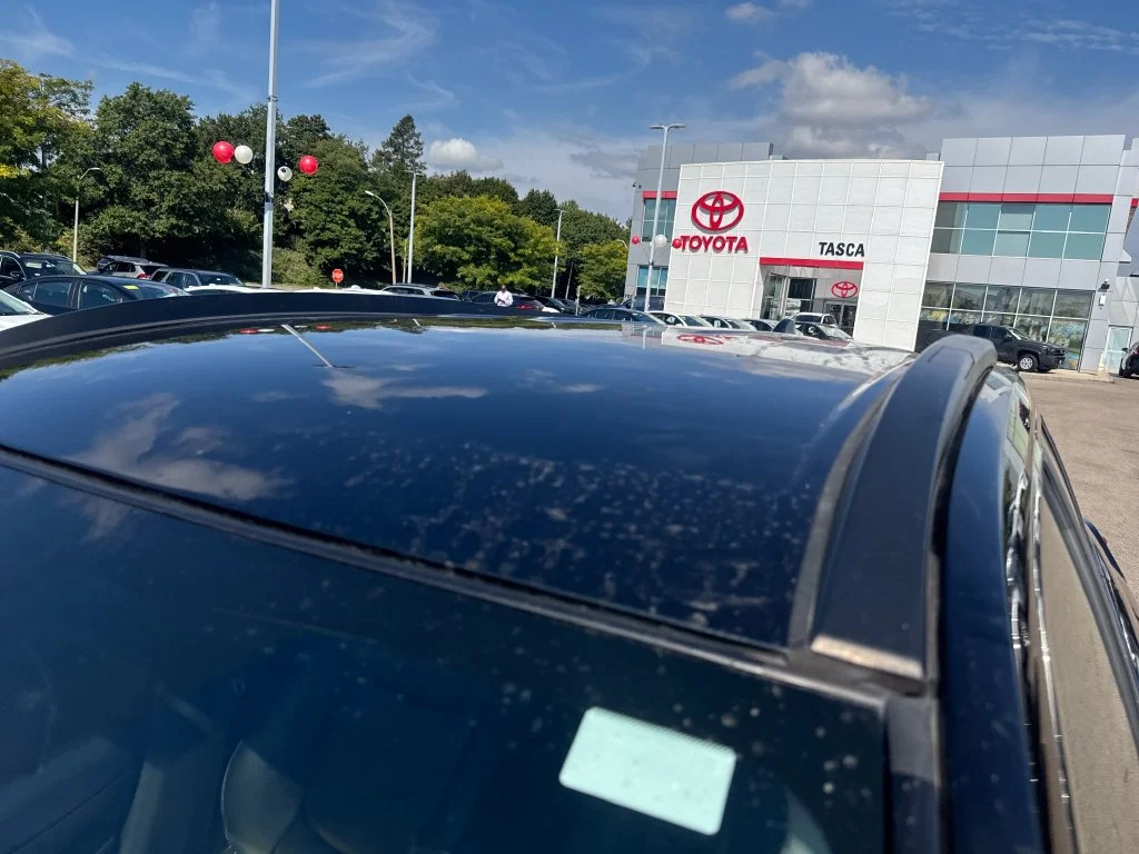 Used 2025 Black Toyota XLE image 41