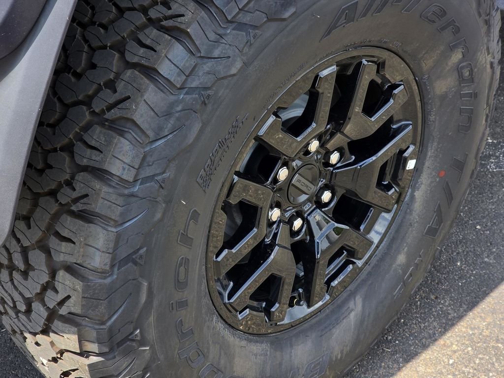 New 2026 Shadow Black Ford Raptor® image 42