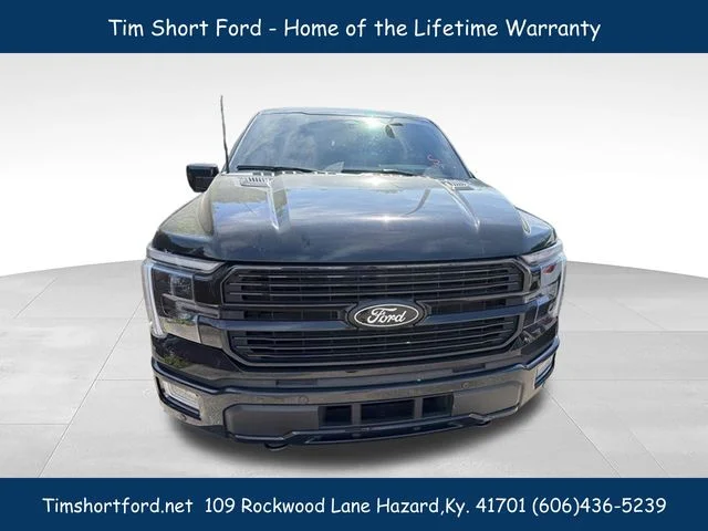 Used 2025 Black Ford Platinum image 2