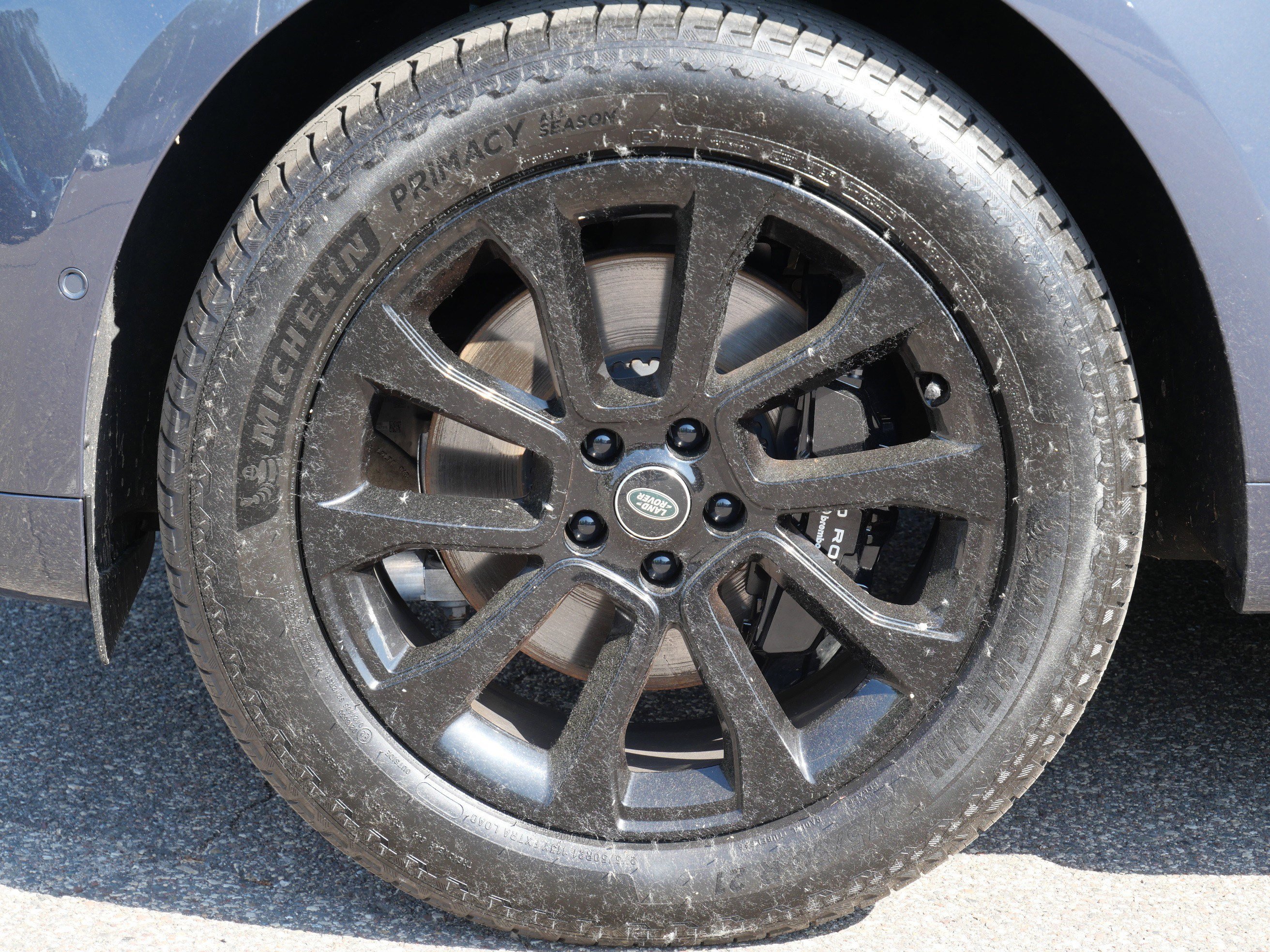 Used 2024 VARESINE BLUE Land Rover Dynamic SE image 10