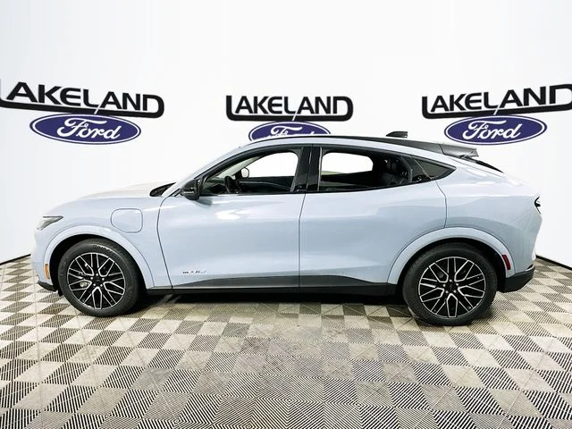 New 2026 Gray Ford Premium image 6