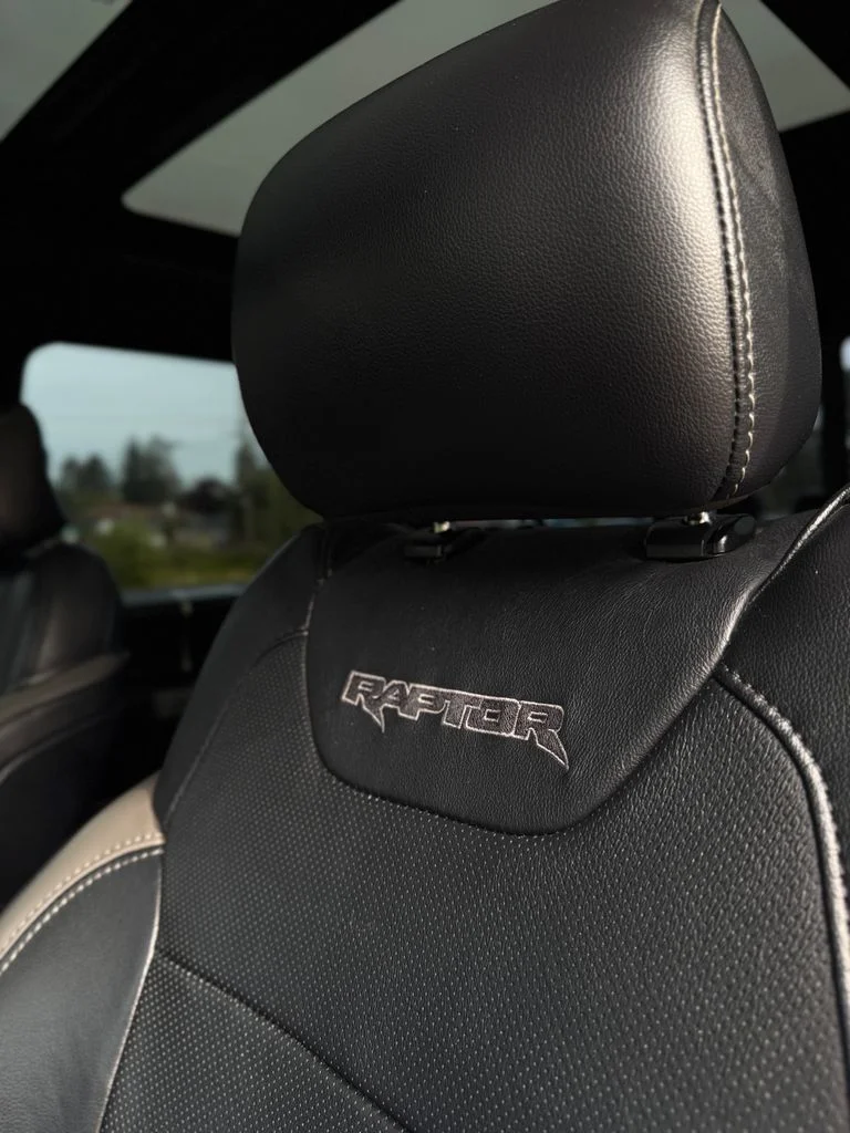 Used 2017 Shadow Black Ford Raptor image 34