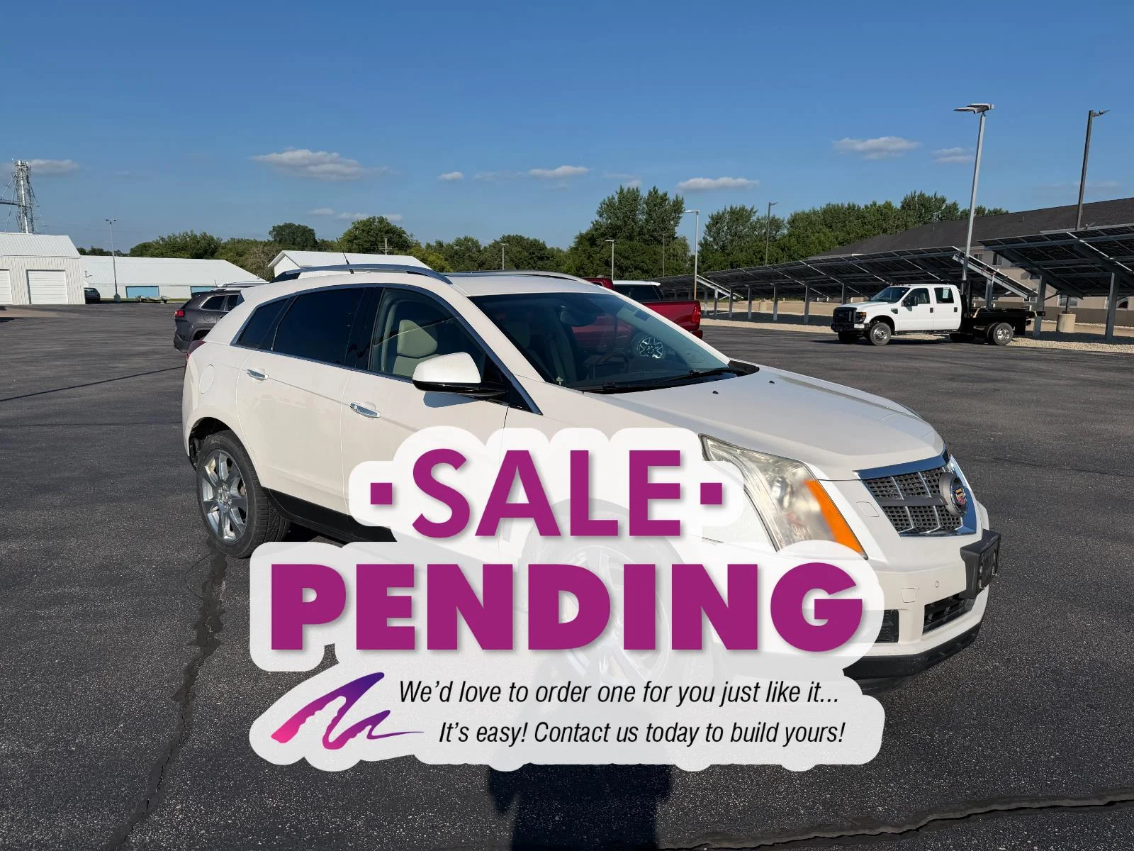 Used 2010 PLATINUM ICE TRICOAT Cadillac Premium Collection image 8