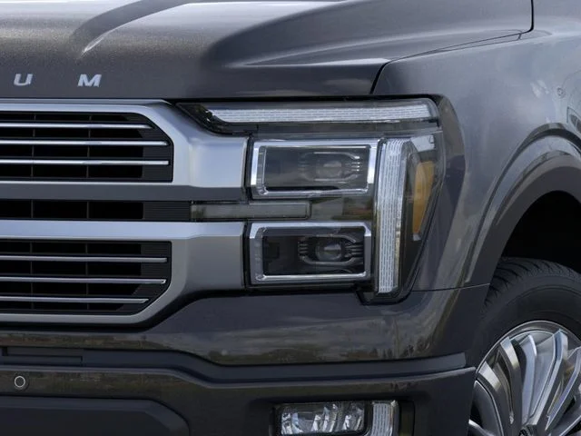 New 2026 Agate Black Metallic Ford Platinum image 18