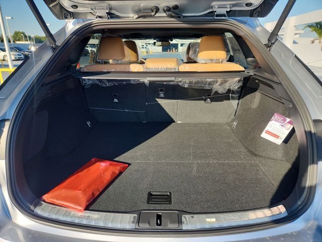 New 2026 Iridium Lexus PREMIUM PLUS image 31