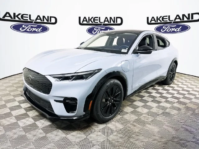 New 2026 Gray Ford Premium image 7