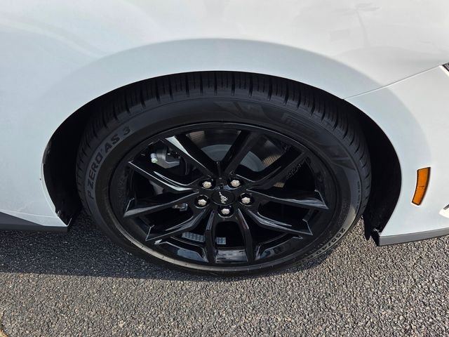 New 2026 Oxford White Ford EcoBoost image 10