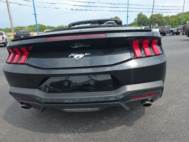 Used 2024 Shadow Black Ford EcoBoost Premium image 6