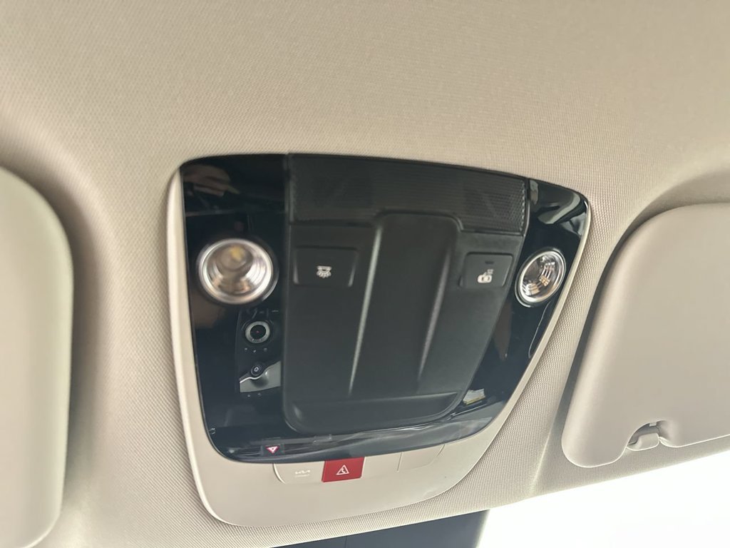New 2026 Panthera Metal Kia WIND image 10