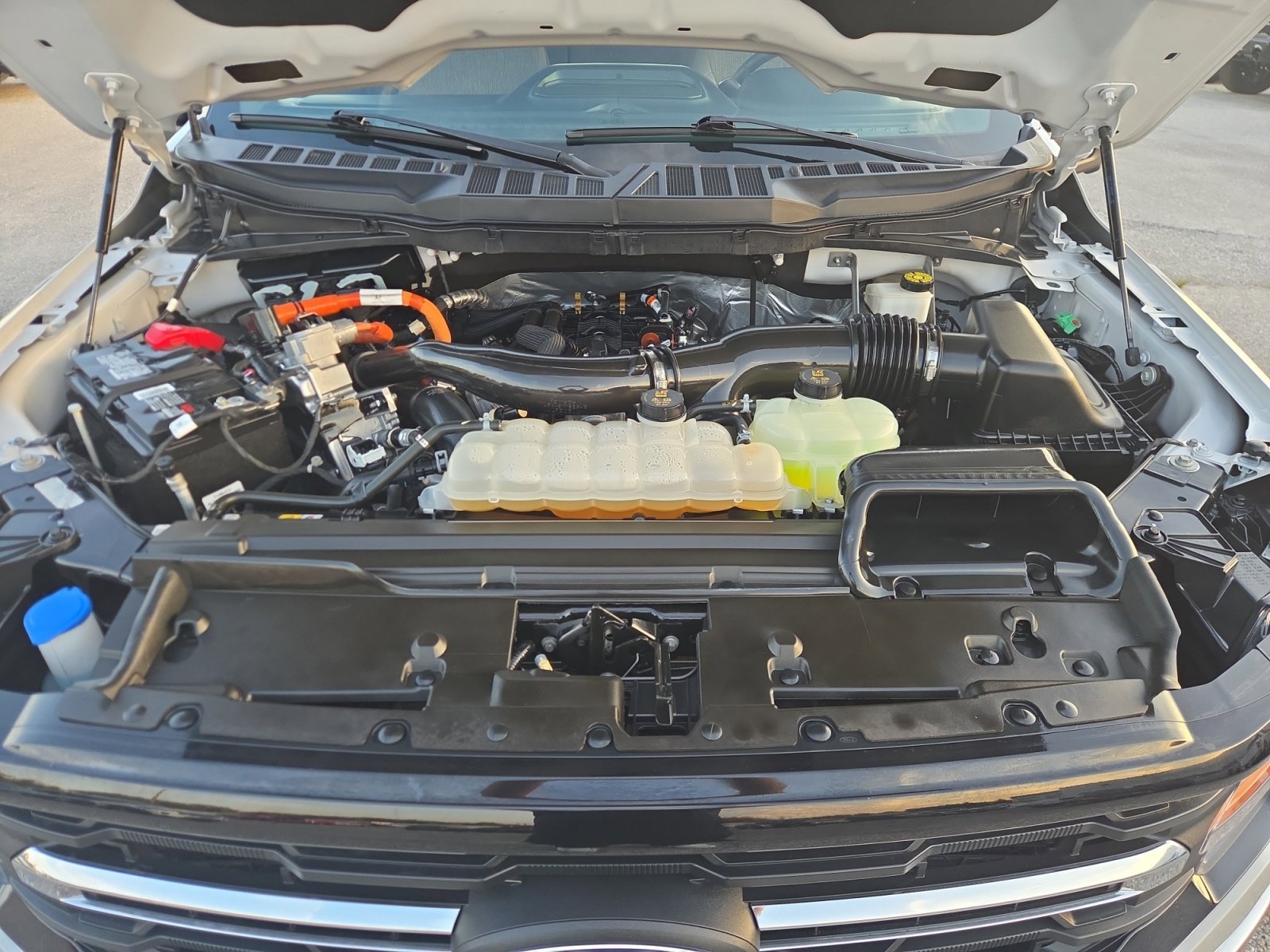 Certified Used 2024 Avalanche Ford XLT image 18