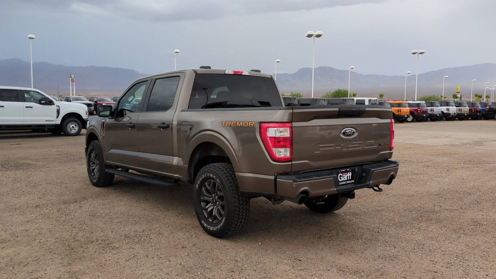 2022 Ford F-150 Tremor - Photo 6