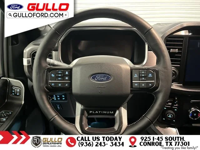 Used 2026 Star White Ford Platinum image 13
