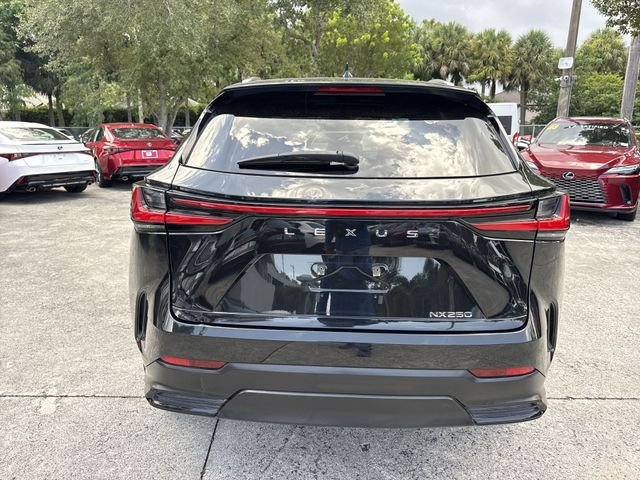 2023 Lexus NX 250 - Photo 24