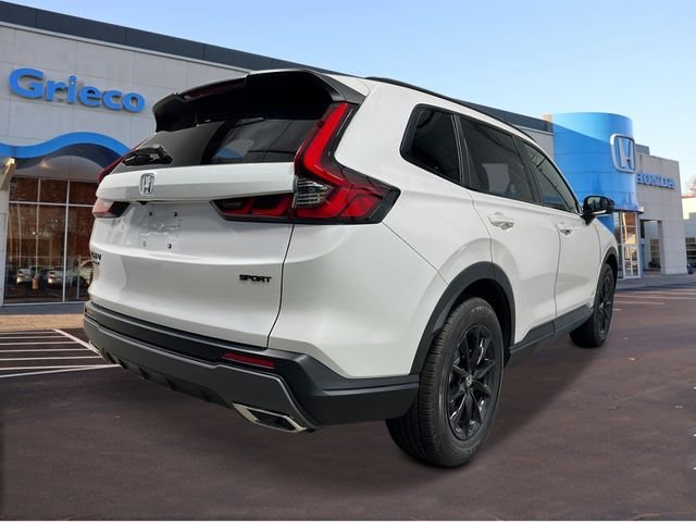 New 2026 Platinum White Pearl Honda Sport image 5
