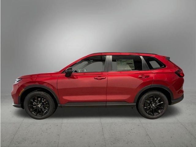 New 2026 Red Honda Sport image 2