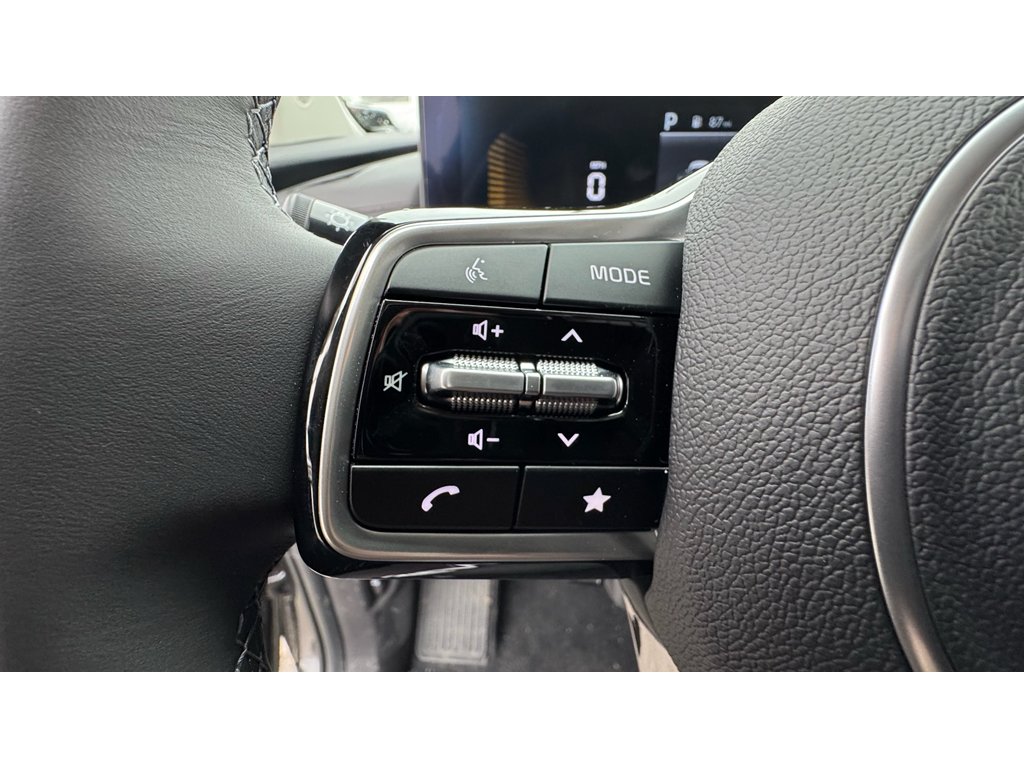 New 2026 Panthera Metal Kia LX image 10