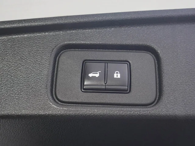 Used 2024  Nissan Platinum image 10