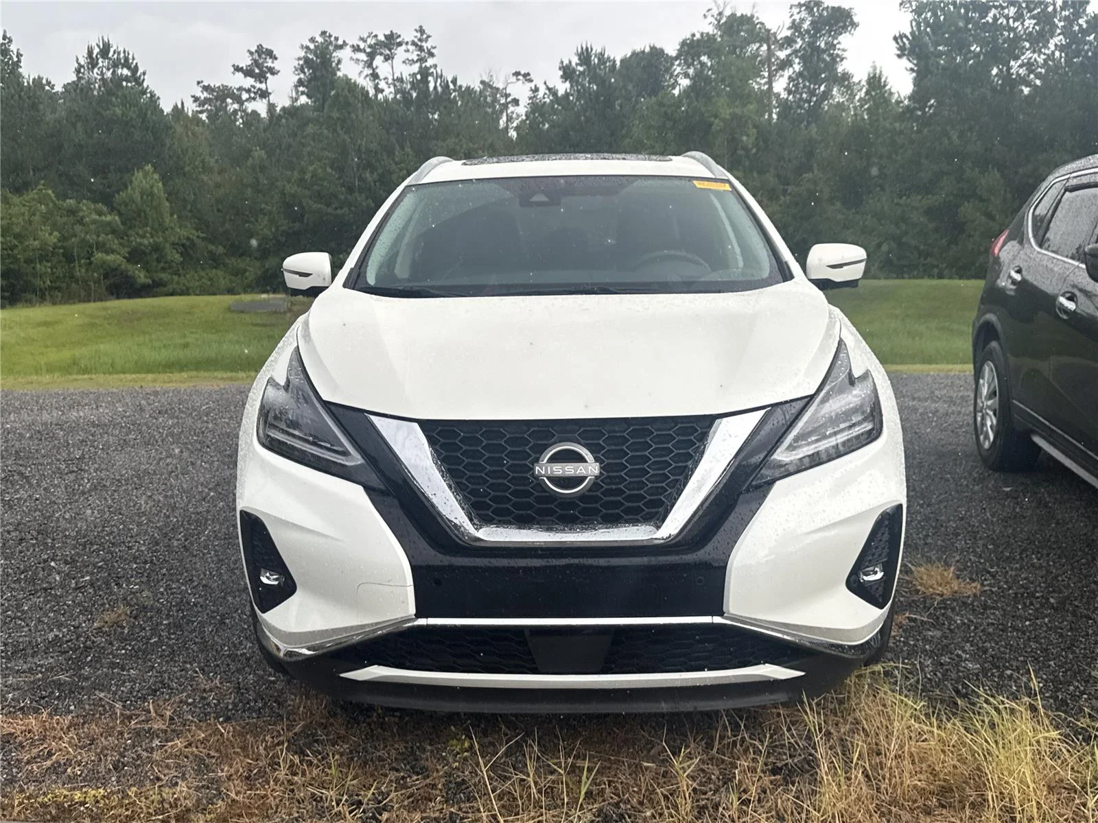 Used 2024 Pearl White Tricoat Nissan Platinum image 3