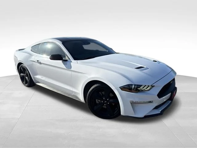 Used 2023 White Ford EcoBoost image 1