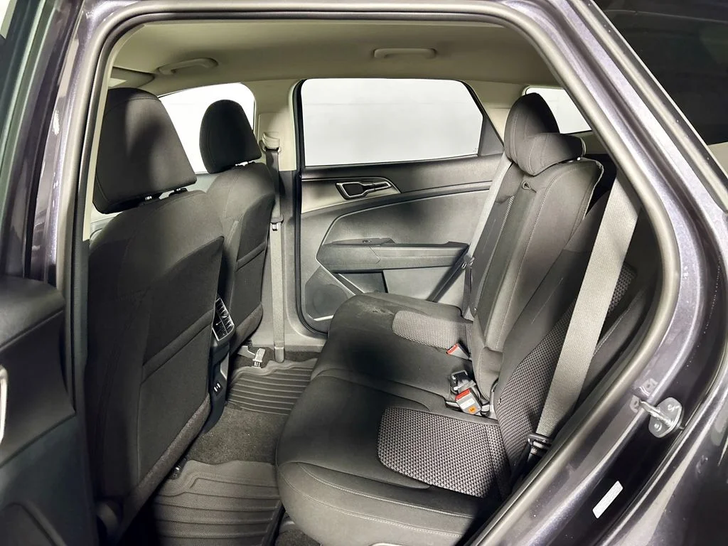 New 2026 Panthera Metal Kia LX image 19